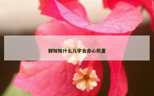 鲜知知什么八字女命心机重