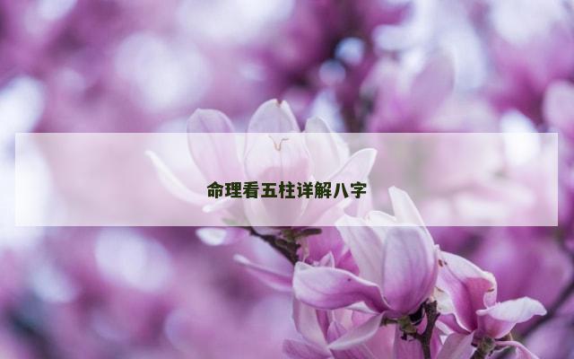 命理看五柱详解八字
