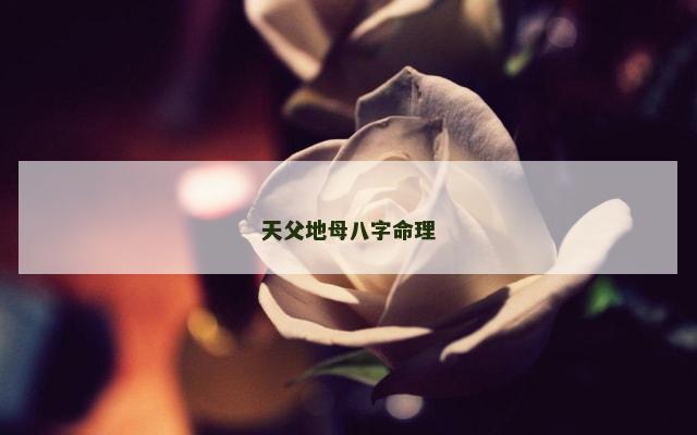 天父地母八字命理