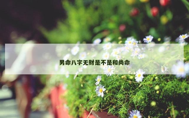 男命八字无财是不是和尚命