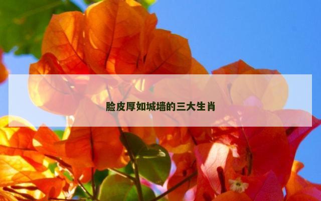 脸皮厚如城墙的三大生肖
