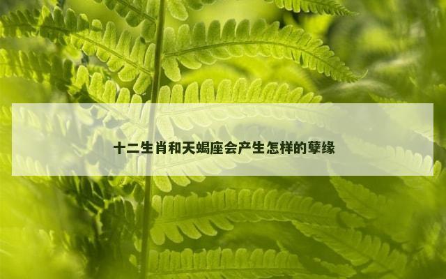 十二生肖和天蝎座会产生怎样的孽缘