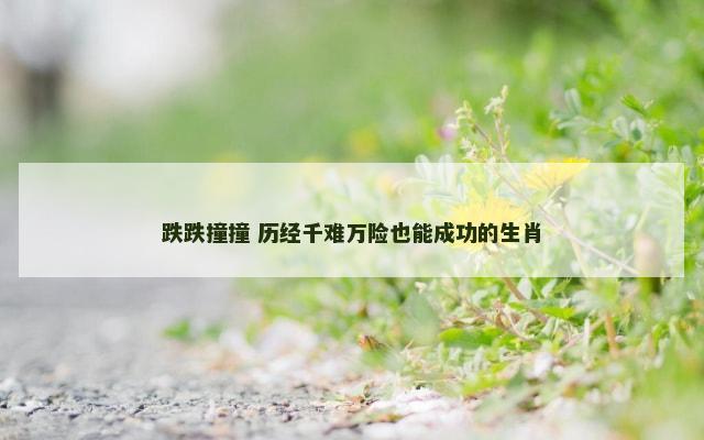 跌跌撞撞 历经千难万险也能成功的生肖