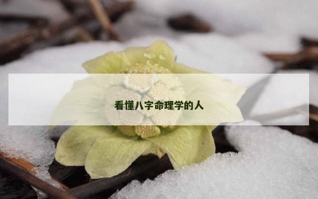 看懂八字命理学的人