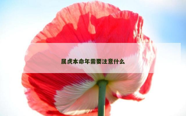 属虎本命年需要注意什么