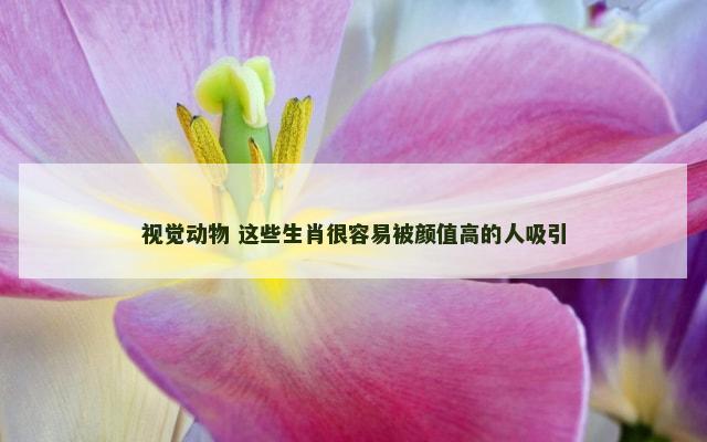 视觉动物 这些生肖很容易被颜值高的人吸引