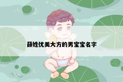 薛姓优美大方的男宝宝名字