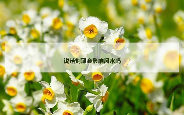说话刻薄会影响风水吗
