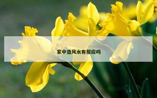 家中造风水有报应吗