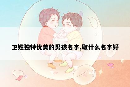 卫姓独特优美的男孩名字,取什么名字好