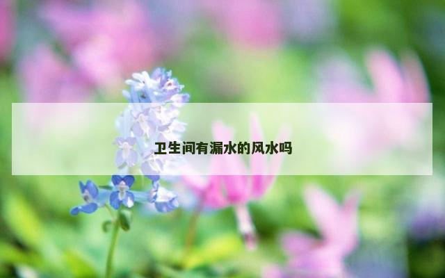 卫生间有漏水的风水吗