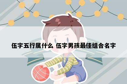伍字五行属什么 伍字男孩最佳组合名字