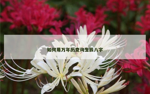 如何用万年历查询生辰八字