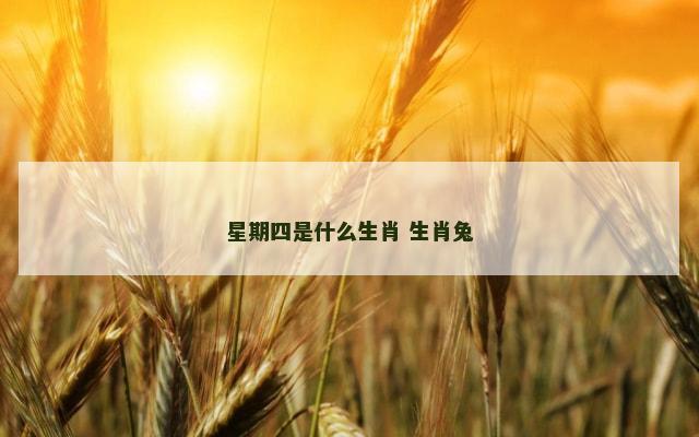 星期四是什么生肖 生肖兔