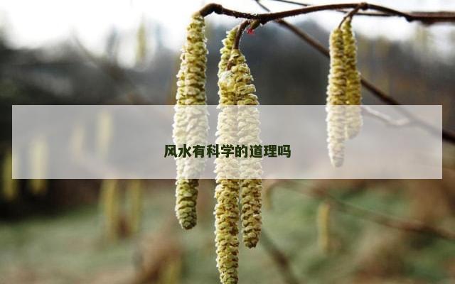 风水有科学的道理吗