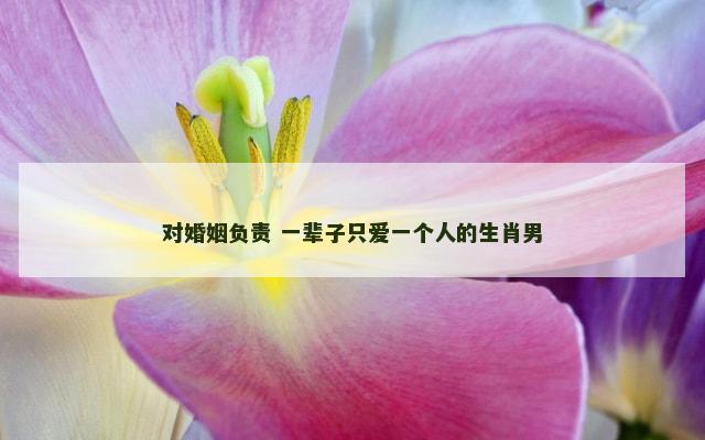 对婚姻负责 一辈子只爱一个人的生肖男