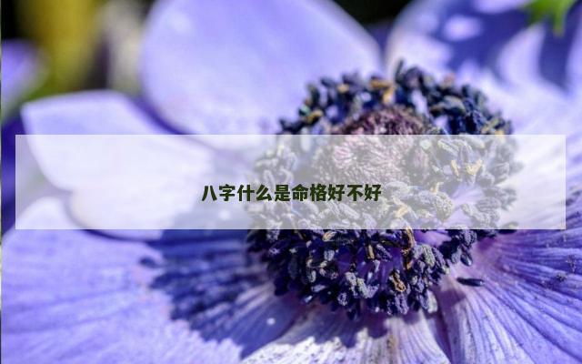 八字什么是命格好不好