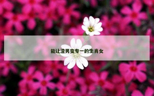 能让渣男变专一的生肖女