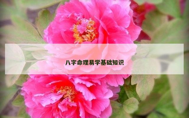 八字命理易学基础知识