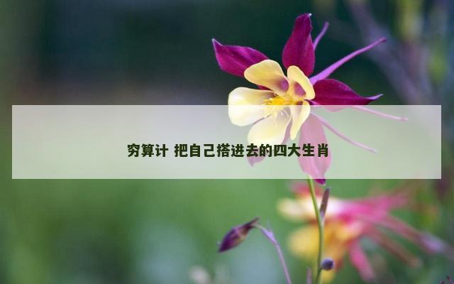 穷算计 把自己搭进去的四大生肖