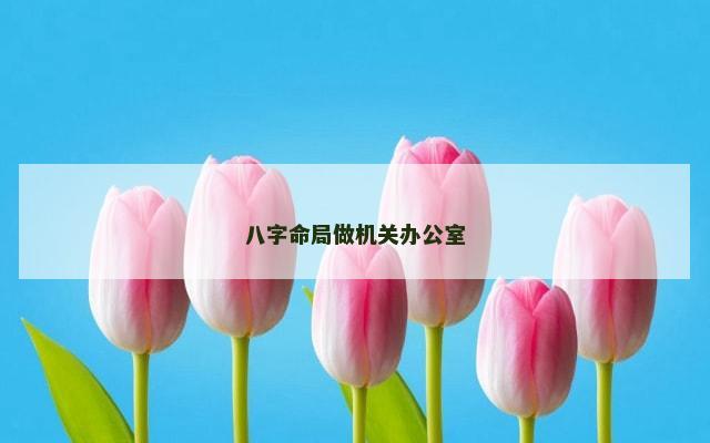八字命局做机关办公室