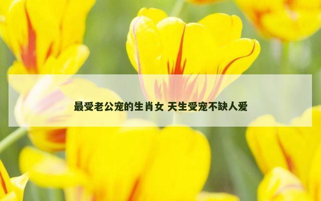 最受老公宠的生肖女 天生受宠不缺人爱