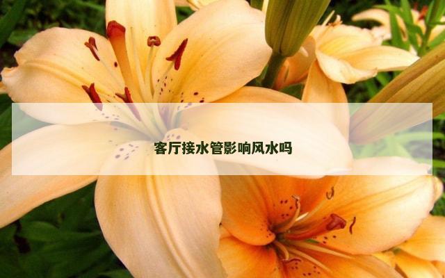 客厅接水管影响风水吗