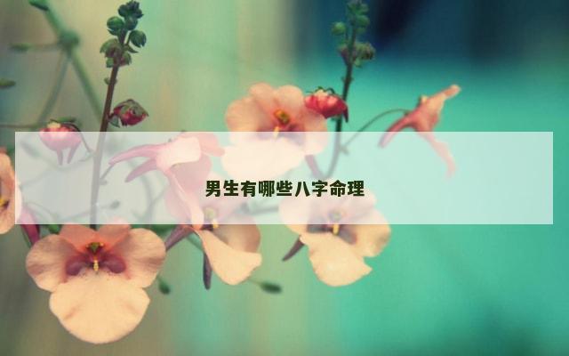 男生有哪些八字命理