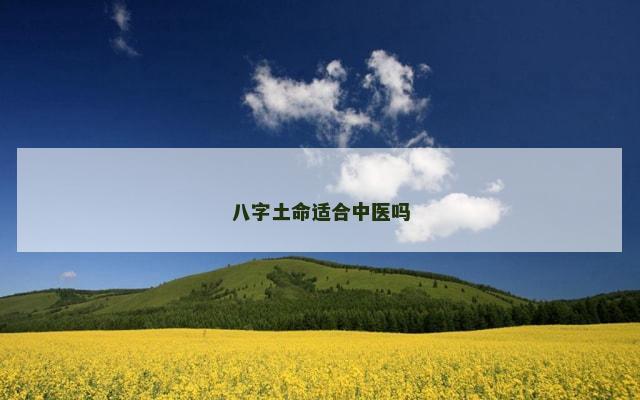 八字土命适合中医吗