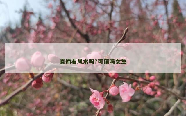 直播看风水吗?可信吗女生