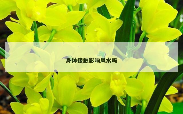 身体接触影响风水吗