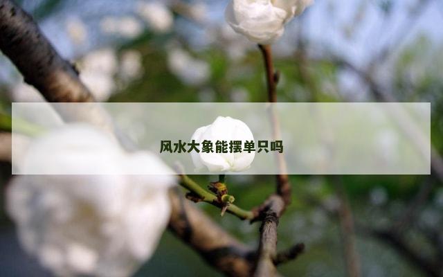 风水大象能摆单只吗