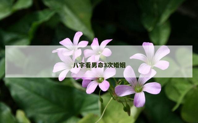 八字看男命3次婚姻