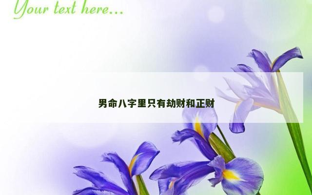男命八字里只有劫财和正财