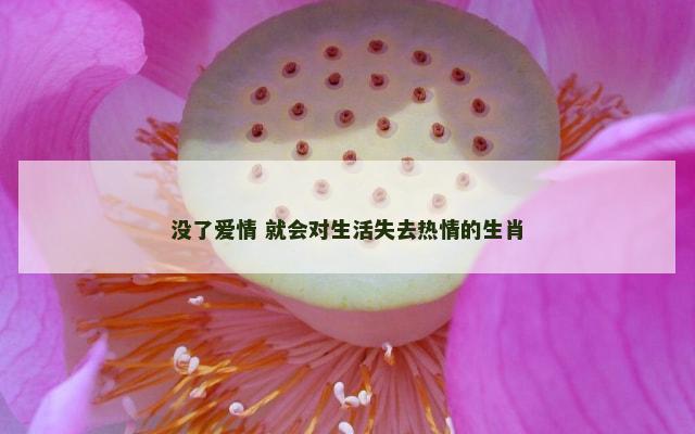没了爱情 就会对生活失去热情的生肖