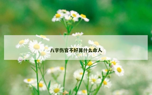 八字伤官不好算什么命人