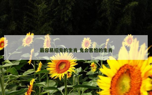 最容易招鬼的生肖 鬼会害怕的生肖