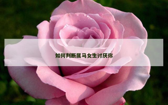 如何判断属马女生讨厌你