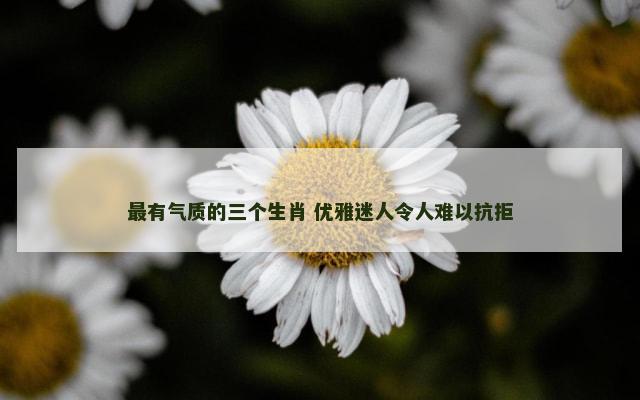 最有气质的三个生肖 优雅迷人令人难以抗拒