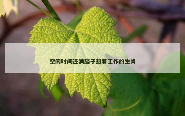 空闲时间还满脑子想着工作的生肖