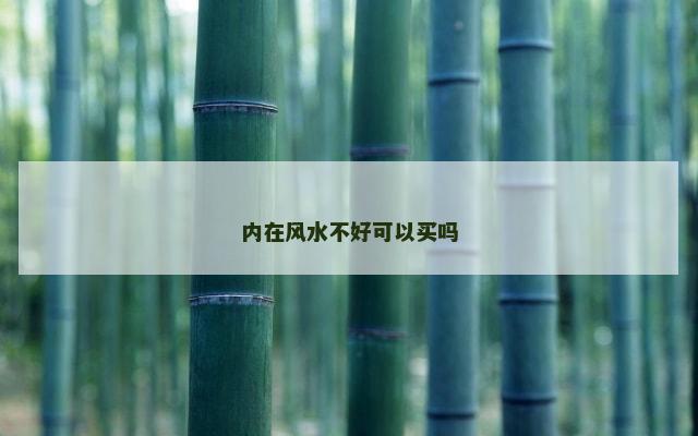 内在风水不好可以买吗