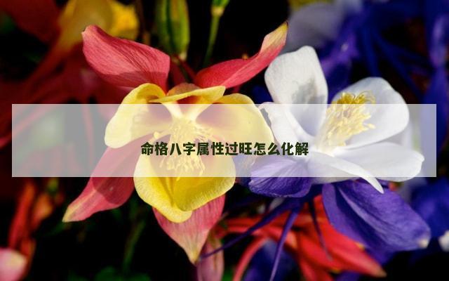 命格八字属性过旺怎么化解
