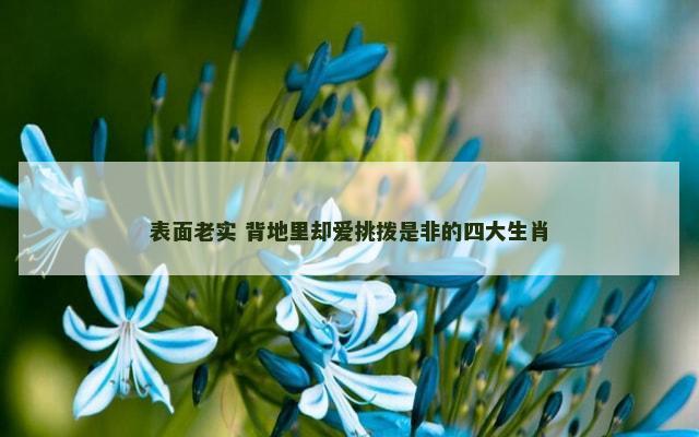 表面老实 背地里却爱挑拨是非的四大生肖