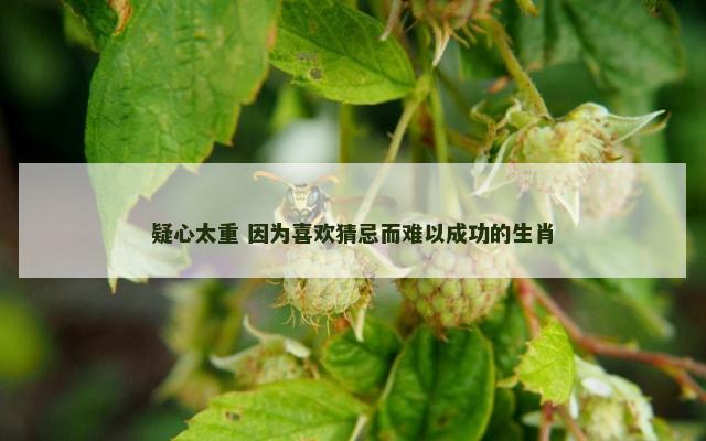 疑心太重 因为喜欢猜忌而难以成功的生肖