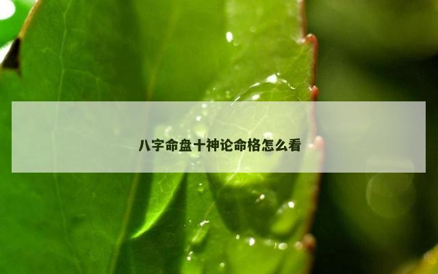 八字命盘十神论命格怎么看