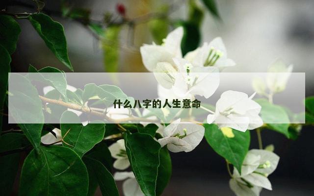 什么八字的人生意命