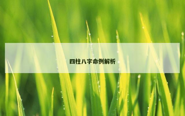 四柱八字命例解析