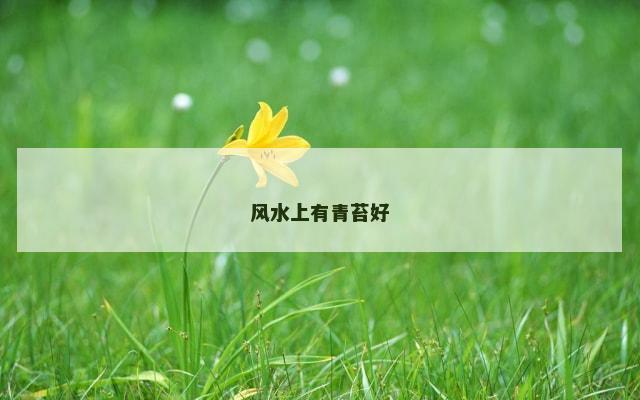 风水上有青苔好