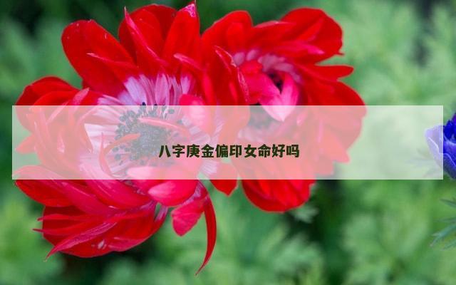 八字庚金偏印女命好吗