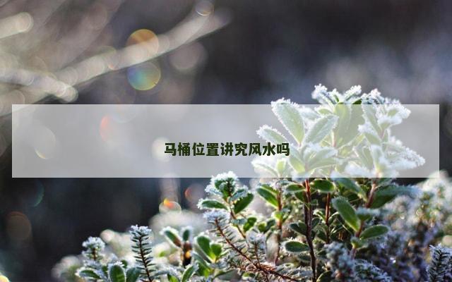 马桶位置讲究风水吗